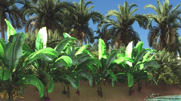 Akşamları, 3d render vahşi üzerinde bol tropikal bitki