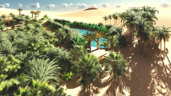 Rich exotic plant life on desert later in the day, 3d rendering — Stock Photo, Image