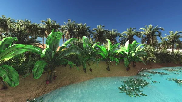 Rijke tropische plantenleven op woestijn later op de dag, 3D-rendering — Stockfoto