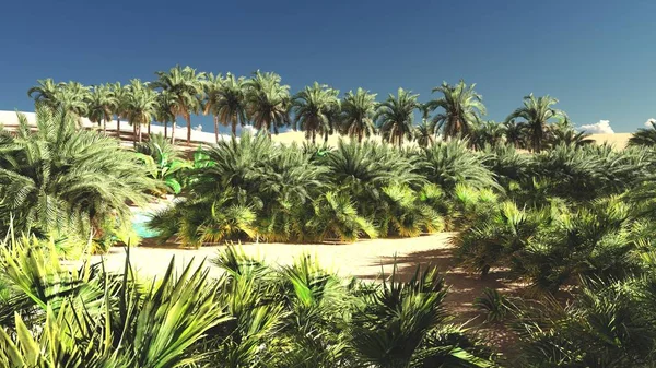 Zengin tropik yeşillikler içinde boş arazi üzerinde akşam, 3d render