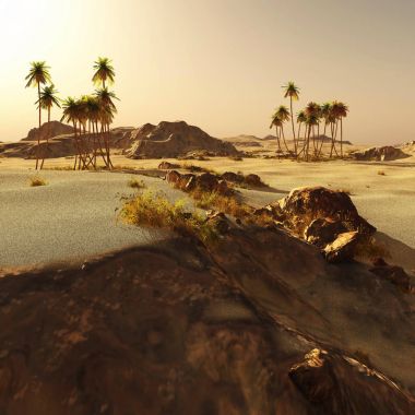 Arapça toplum üzerinde boş arazi, 3B oluşturma