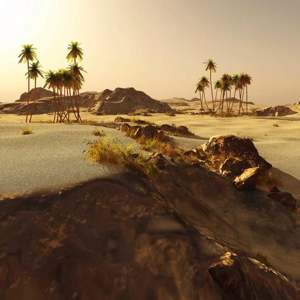 Arapça toplum üzerinde boş arazi, 3B oluşturma