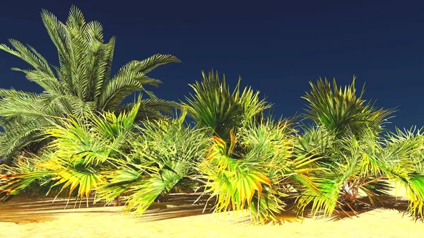 Lush spectacular plants on wilderness in the evening, 3d rendering — Stock Photo, Image