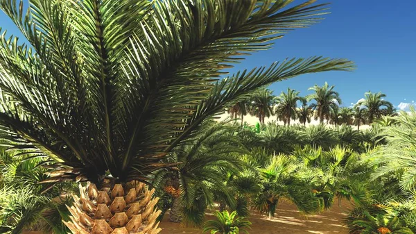 Yemyeşil muhteşem bitkiler üzerinde vahşi akşamları, 3d render