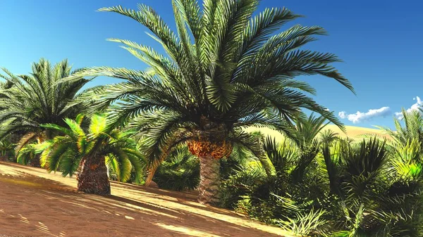 Yemyeşil muhteşem bitkiler üzerinde vahşi akşamları, 3d render