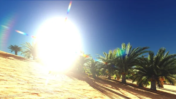 Yemyeşil muhteşem bitkiler üzerinde vahşi akşamları, 3d render