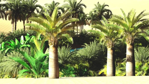 Yemyeşil muhteşem bitkiler üzerinde vahşi akşamları, 3d render