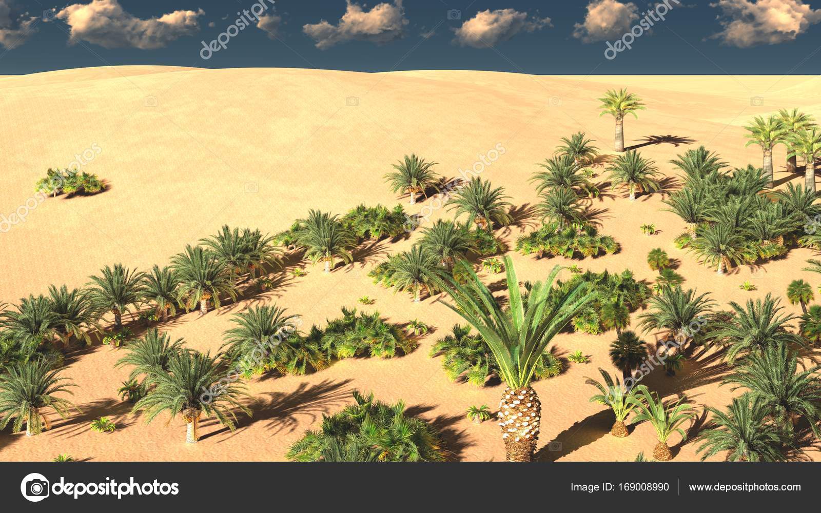 scarica sfondo oasis