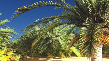 Güzel doğal arka plan. -Afrika vahası 3D görüntüleme