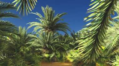 Güzel doğal arka plan. -Afrika vahası 3D görüntüleme