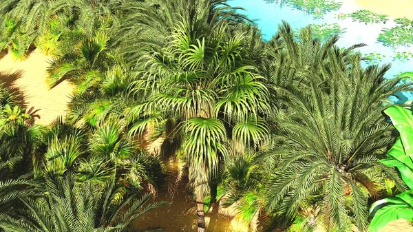 Hermoso fondo natural oasis africano 3d representación —  Fotos de Stock