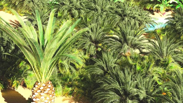 Mooie natuurlijke achtergrond -Afrikaanse oase 3d rendering — Stockfoto