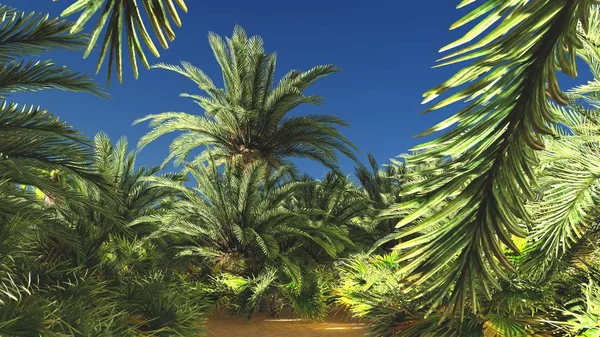 Güzel doğal arka plan. -Afrika vahası 3D görüntüleme