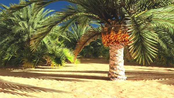 Güzel doğal arka plan. -Afrika vahası 3D görüntüleme