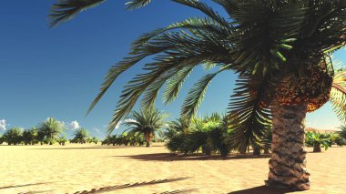 Güzel doğal arka plan. -Afrika vahası 3D görüntüleme