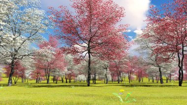 Baharda meyve bahçesinde çiçek açan ağaç ağaçları 3D görüntüleme