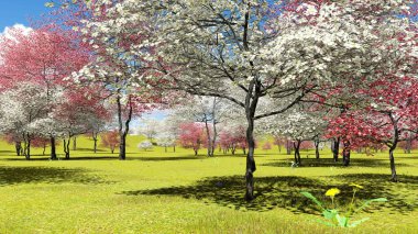 Baharda meyve bahçesinde çiçek açan ağaç ağaçları 3D görüntüleme