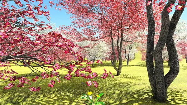 Kwitnące psie drzewa w sadzie w okresie wiosennym 3d renderingu — Zdjęcie stockowe