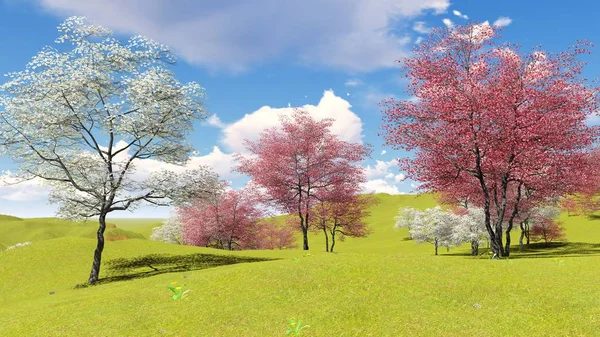 La floración de los árboles de cornejo en huerto en primavera 3d renderizado — Foto de Stock