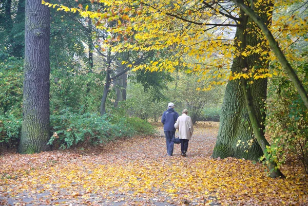 Pareja mayor disfrutando paseando en otoño Park —  Fotos de Stock