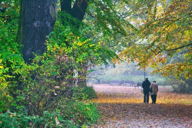 Üst düzey çift sonbahar Park yürüyüş zevk