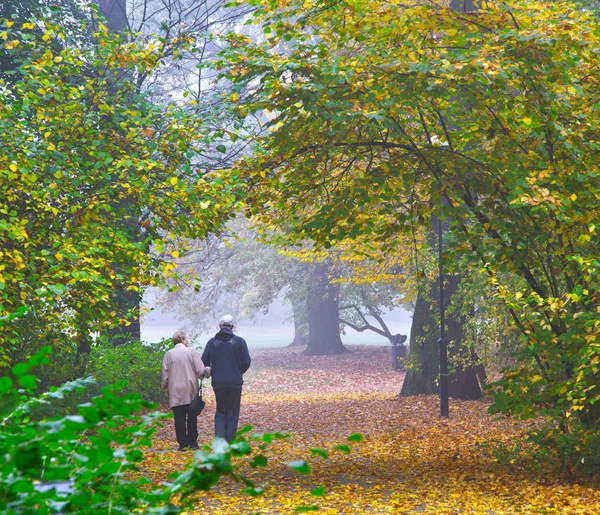 Coppia anziana godendo a piedi in autunno Parco — Foto Stock