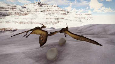 Yumurta ve pterodactyl 3d render