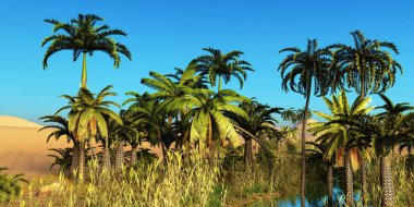 Sahra Çölü 3d render muhteşem gün batımı