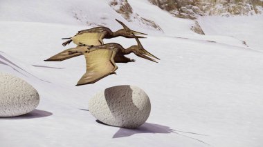Yumurta ve pterodactyl 3d render