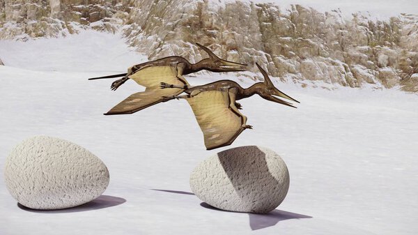 Egg and pterodactyl 3d rendering