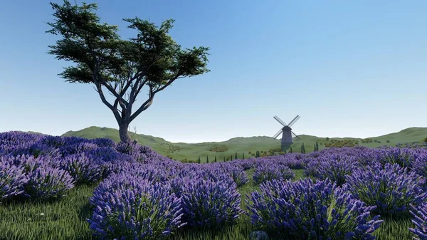 Campos de lavanda com uma árvore solitária 3d renderização — Fotografia de Stock