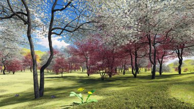 Baharda meyve bahçesinde çiçek açan ağaç ağaçları 3D görüntüleme