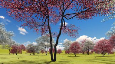Baharda meyve bahçesinde çiçek açan ağaç ağaçları 3D görüntüleme