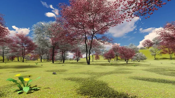 La floración de los árboles de cornejo en huerto en primavera 3d renderizado — Foto de Stock