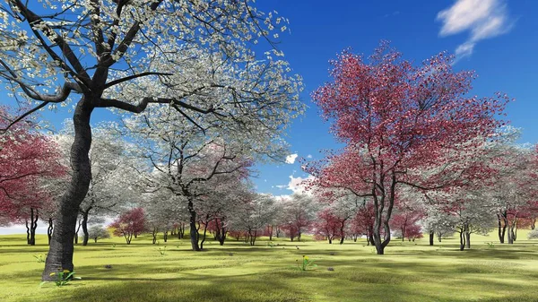 Baharda meyve bahçesinde çiçek açan ağaç ağaçları 3D görüntüleme — Stok fotoğraf