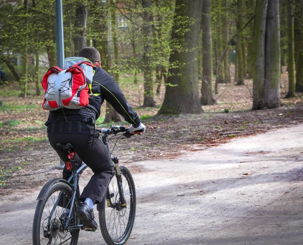 Молодой человек едет на велосипеде в парке — стоковое фото