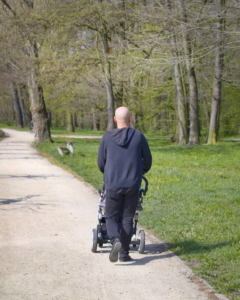 Man with baby stroller walks in spring park at morning — Stock Photo, Image