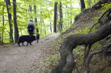 Güzel genç kadın ile iki köpekler açık havada yürüyüş