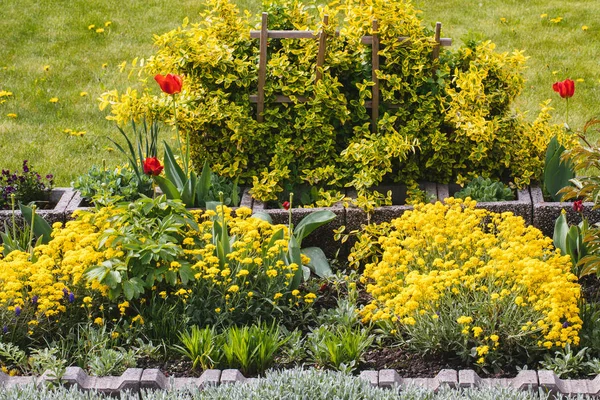 Beautiful Home garden Allotment in spring