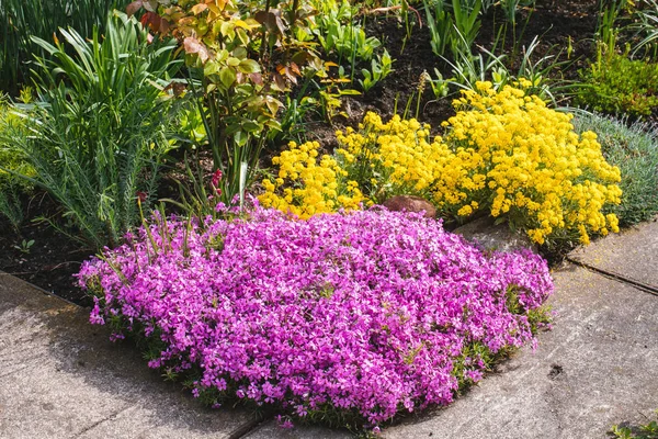 Beautiful Home garden Allotment in spring — Stock Photo, Image