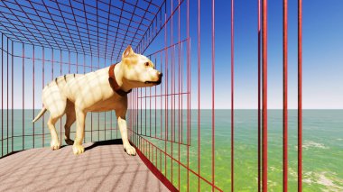 köpek kafes 3d Render dışarı almak
