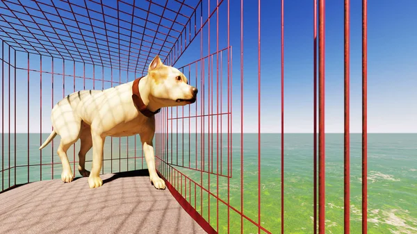 Hund att komma ur buren 3d-rendering — Stockfoto