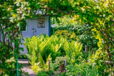 Güzel ev bahçe servis birimi bahar