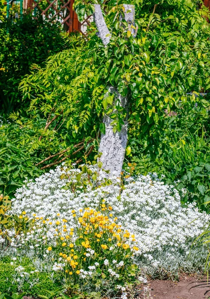Bonita casa jardim Loteamento na primavera — Fotografia de Stock