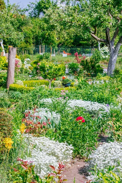 Beautiful Home garden Allotment in spring