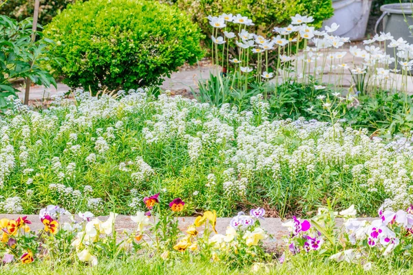 Hermosa casa jardín Asignación en primavera — Foto de Stock