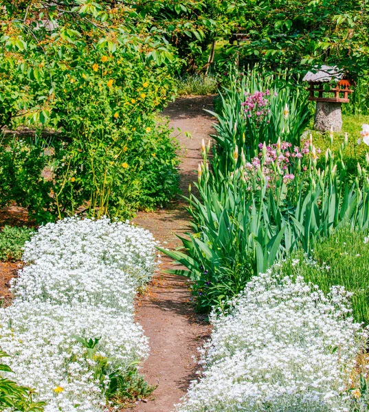 Hermosa casa jardín Asignación en primavera — Foto de Stock