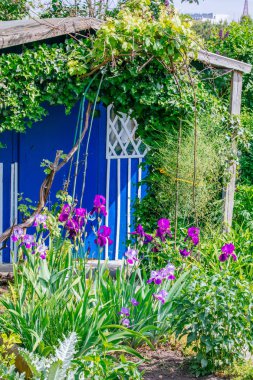 Güzel ev bahçe servis birimi bahar