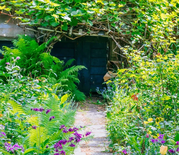 Beautiful Home garden Allotment in spring