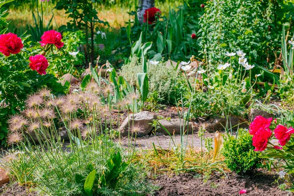 Beautiful Home garden Allotment in spring